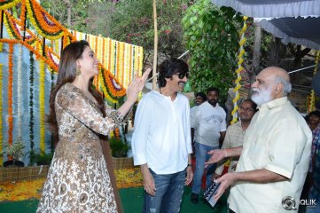 Bengal Tiger Movie Opening